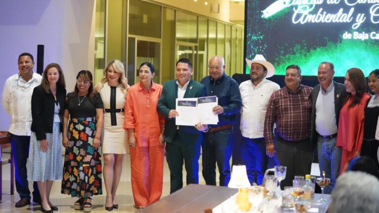 CAUCUS BCS 26-02-26-4