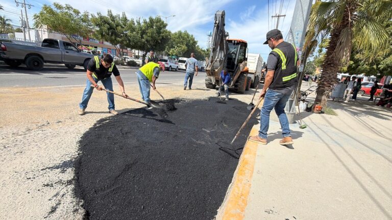 WhatsApp Image 2026-02-04 at 2.38.11 PM