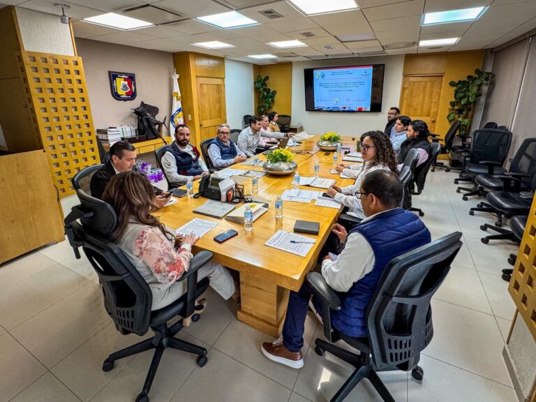 WhatsApp Image 2026-02-05 at 5.00.42 PM3