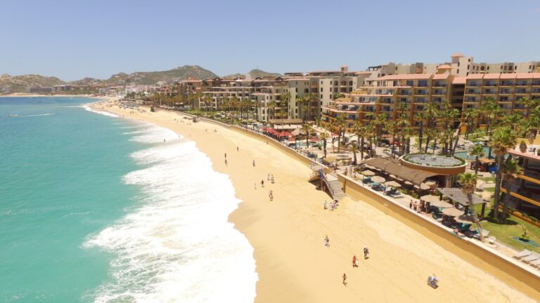 WhatsApp Image 2026-02-06 at 12.58.37 PM