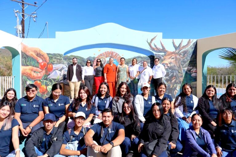 WhatsApp Image 2026-02-10 at 3.12.35 PM