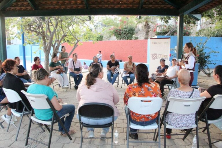 WhatsApp Image 2026-02-10 at 3.13.53 PM