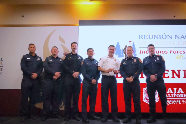 WhatsApp Image 2026-02-11 at 3.49.52 PM