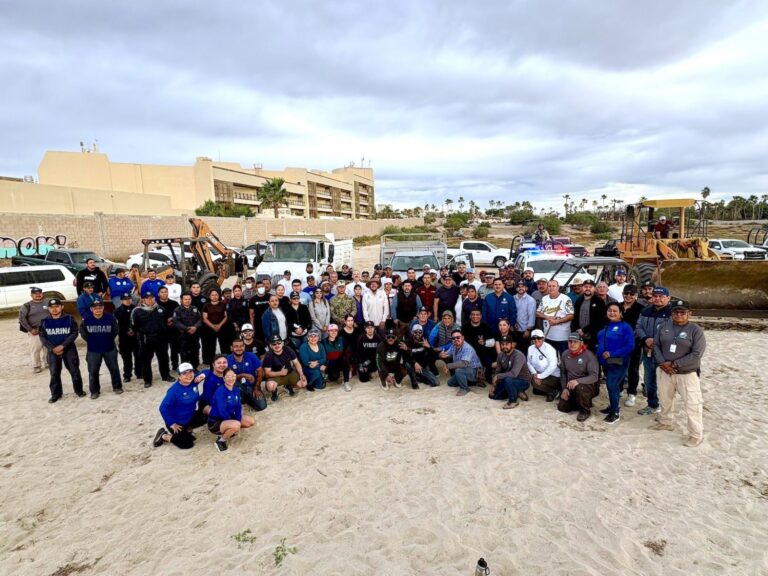 WhatsApp Image 2026-02-12 at 7.13.33 PM