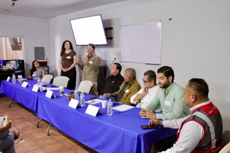 WhatsApp Image 2026-02-12 at 7.14.17 PM