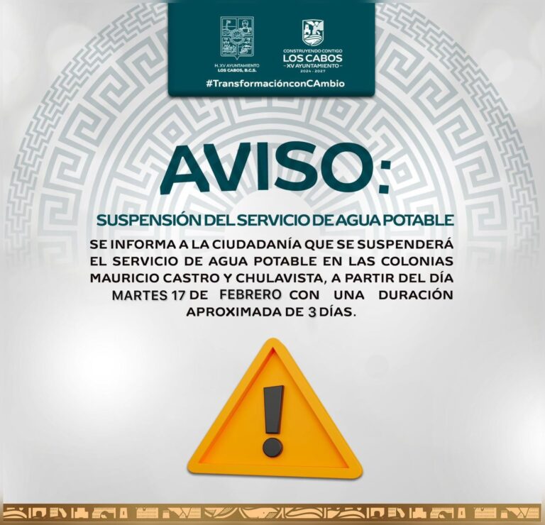 WhatsApp Image 2026-02-13 at 6.00.53 PM