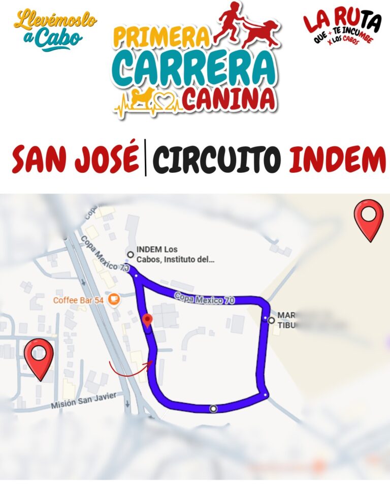 WhatsApp Image 2026-02-13 at 7.26.22 PM