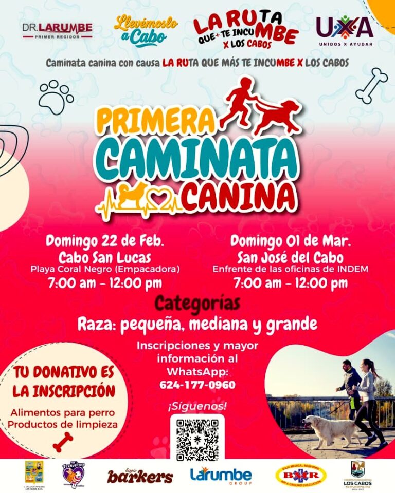 WhatsApp Image 2026-02-16 at 7.20.03 PM