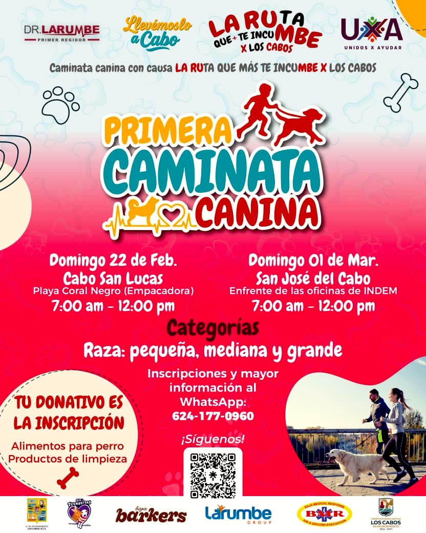 WhatsApp Image 2026-02-16 at 7.20.03 PM