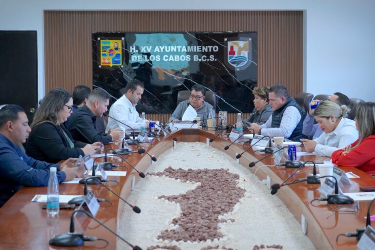 WhatsApp Image 2026-02-18 at 4.26.56 PM3