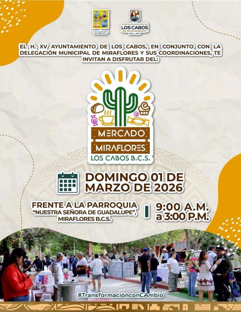 WhatsApp Image 2026-02-19 at 2.51.17 PM