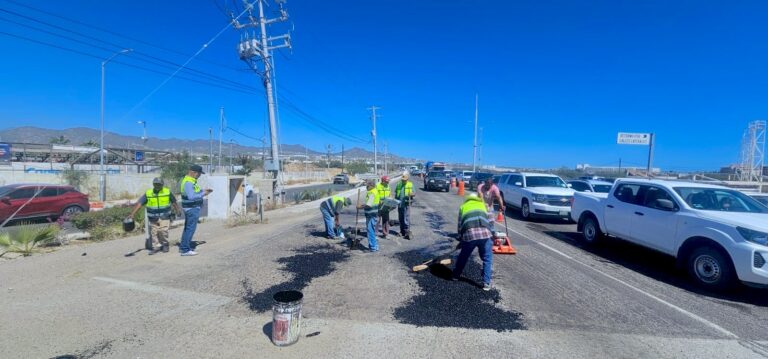 WhatsApp Image 2026-02-24 at 2.28.41 PM4