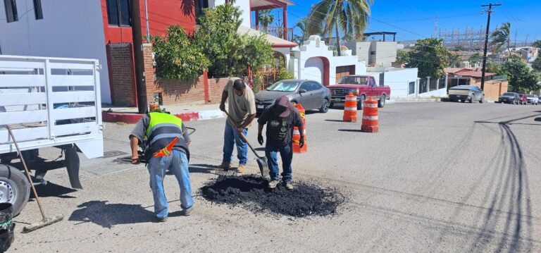 WhatsApp Image 2026-02-25 at 3.10.49 PM