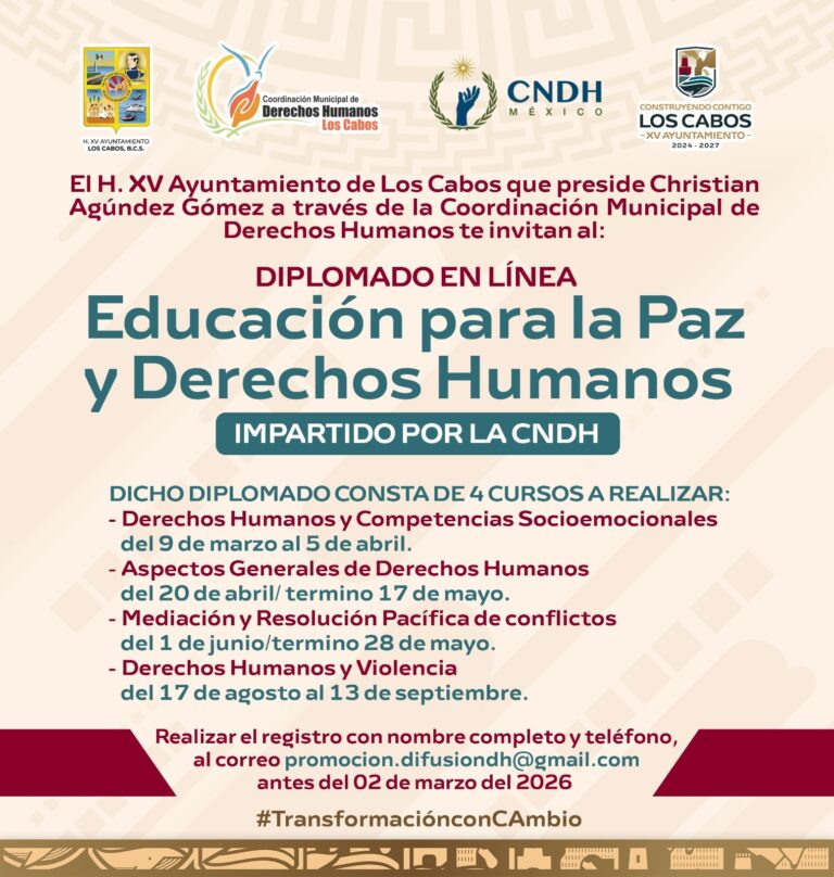 WhatsApp Image 2026-02-26 at 3.04.50 PM