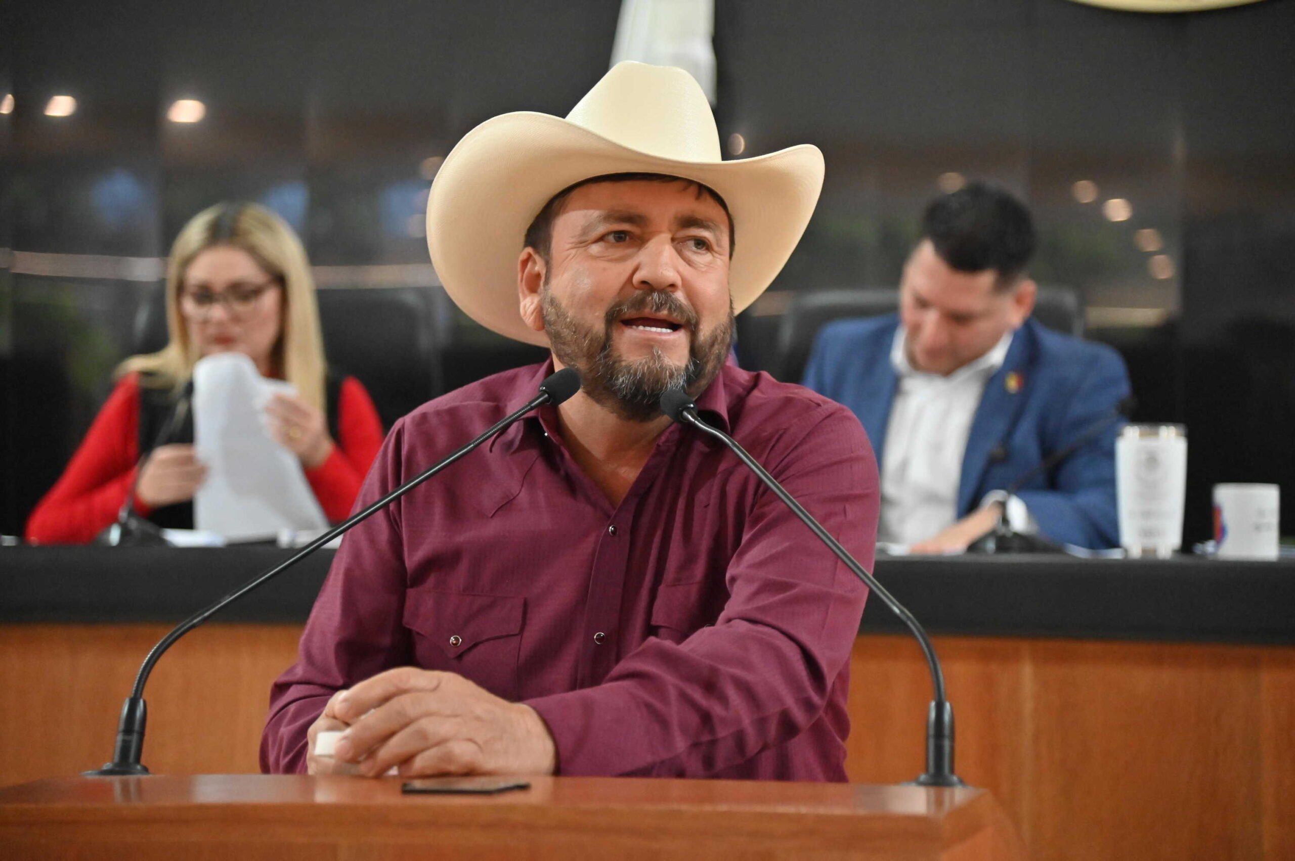 DIP VENUSTIANO PEREZ SANCHEZ 260310 2