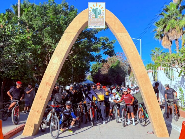 WhatsApp Image 2026-03-02 at 3.20.29 PM