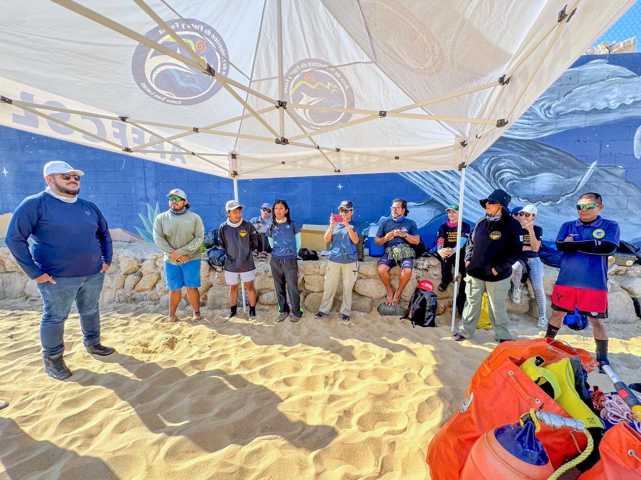 WhatsApp Image 2026-03-04 at 4.02.24 PM1