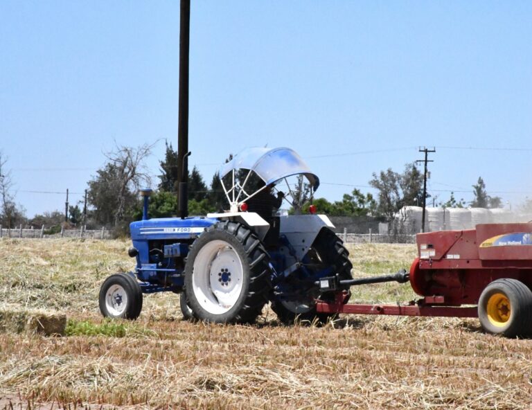 WhatsApp Image 2026-03-10 at 2.36.00 PM