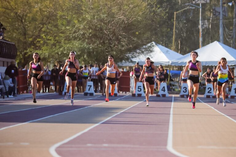 WhatsApp Image 2026-03-12 at 1.32.58 PM