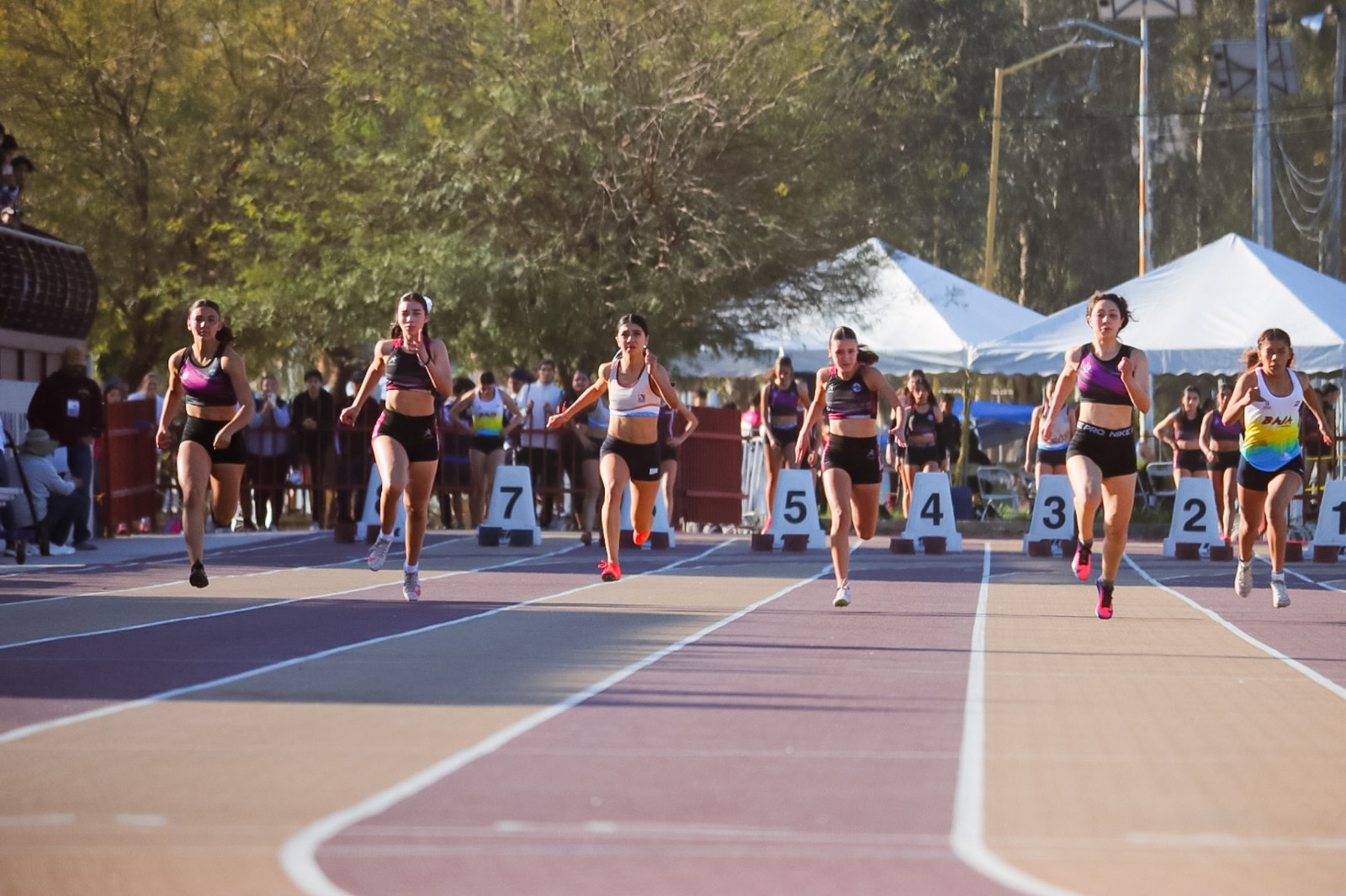 WhatsApp Image 2026-03-12 at 1.32.58 PM