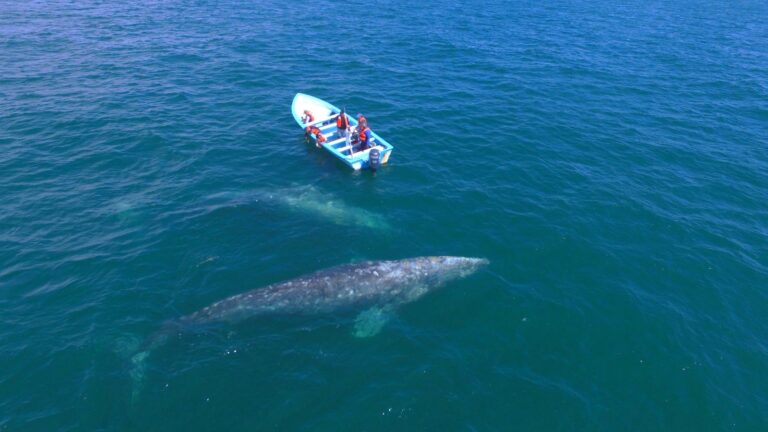 WhatsApp Image 2026-03-24 at 2.45.21 PM