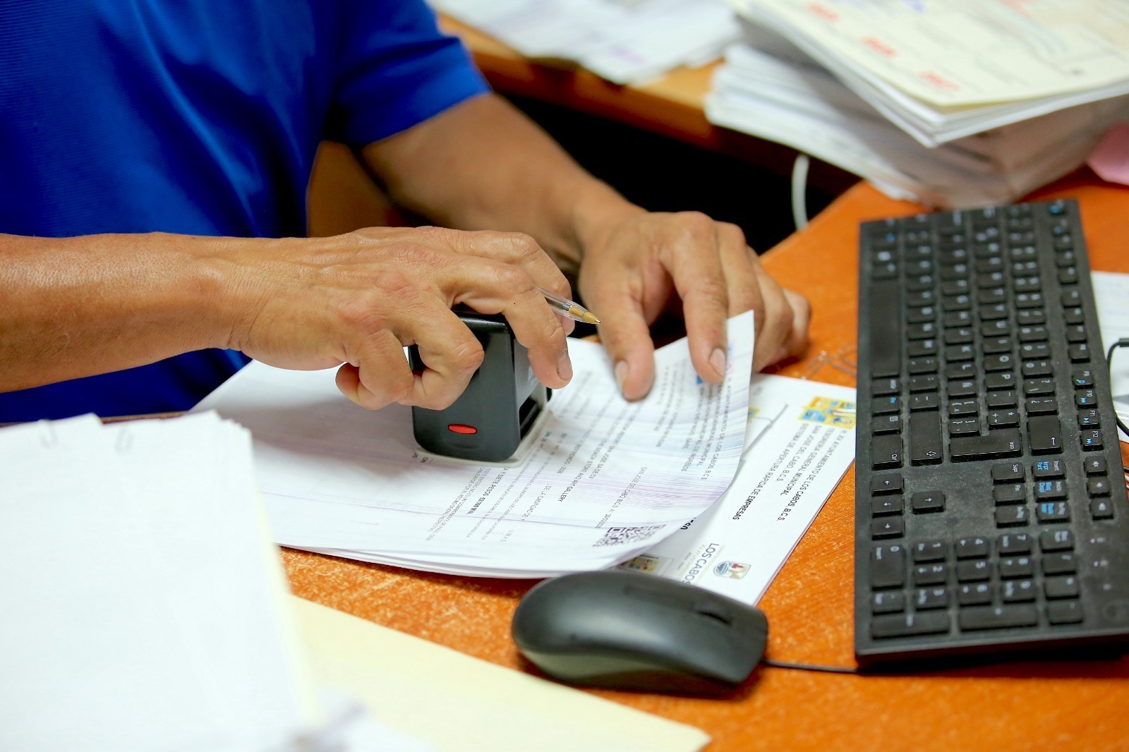 WhatsApp Image 2026-03-30 at 2.12.28 PM1