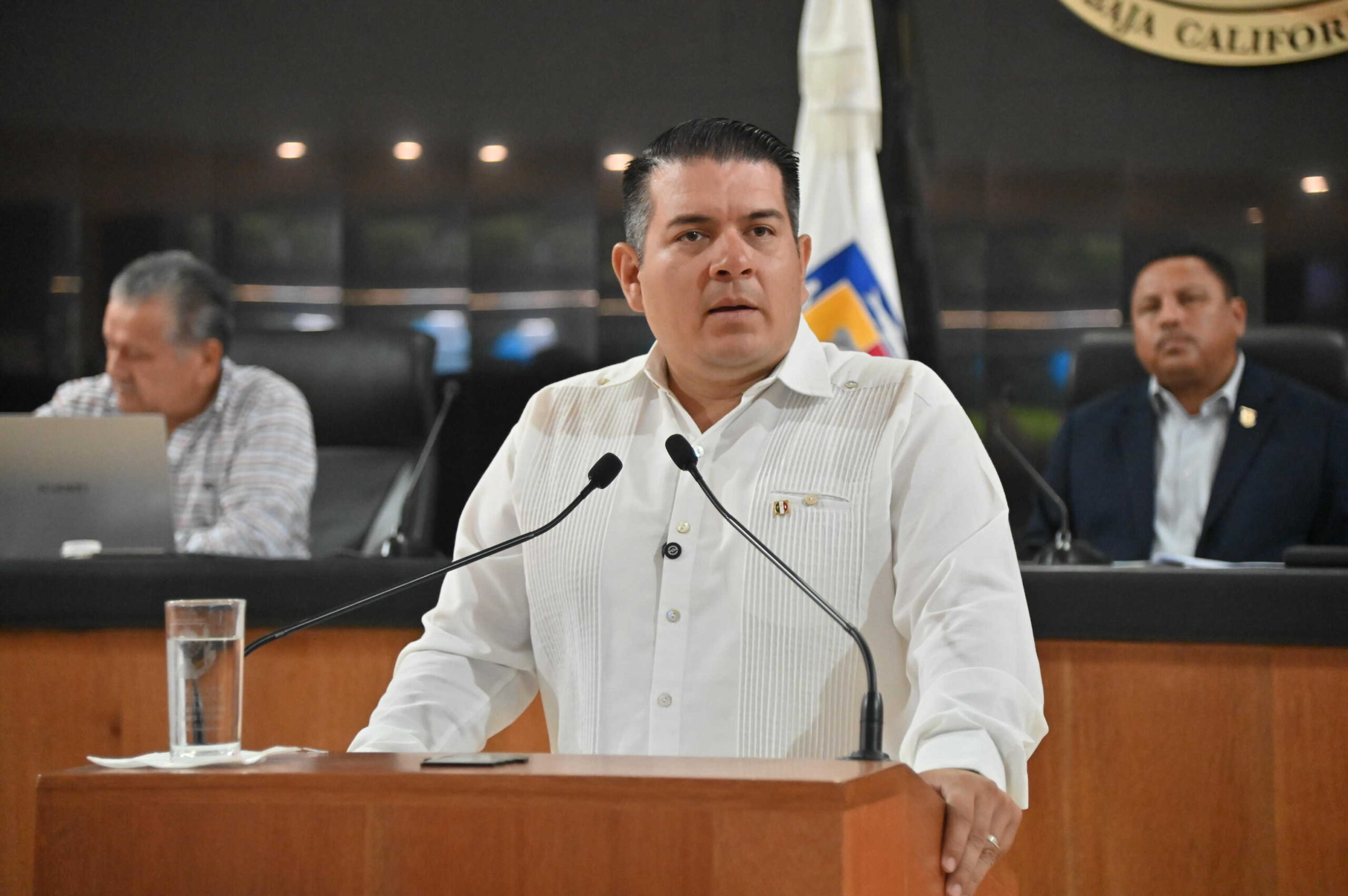 DIP FABRIZIO DEL CASTILLO MIRANDA 260409 2