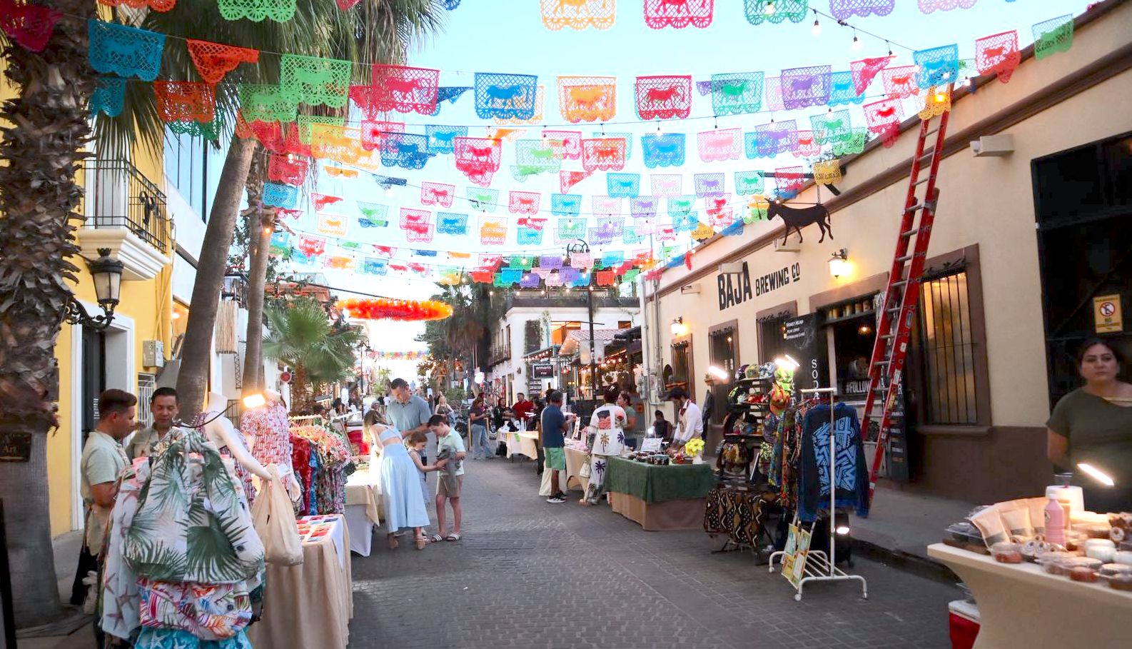 INDESO ESPACIOS DISPONIBLES MERCADO SOSTENIBLE 1