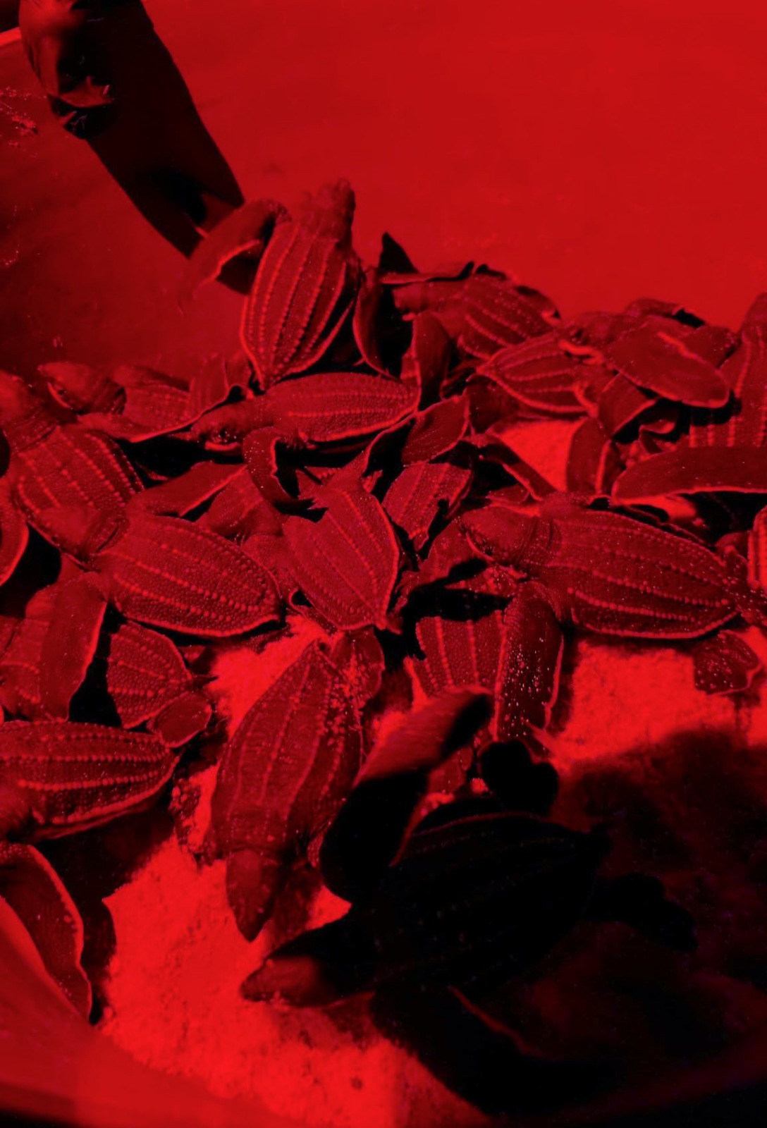 WhatsApp Image 2026-04-01 at 11.26.00 AM4