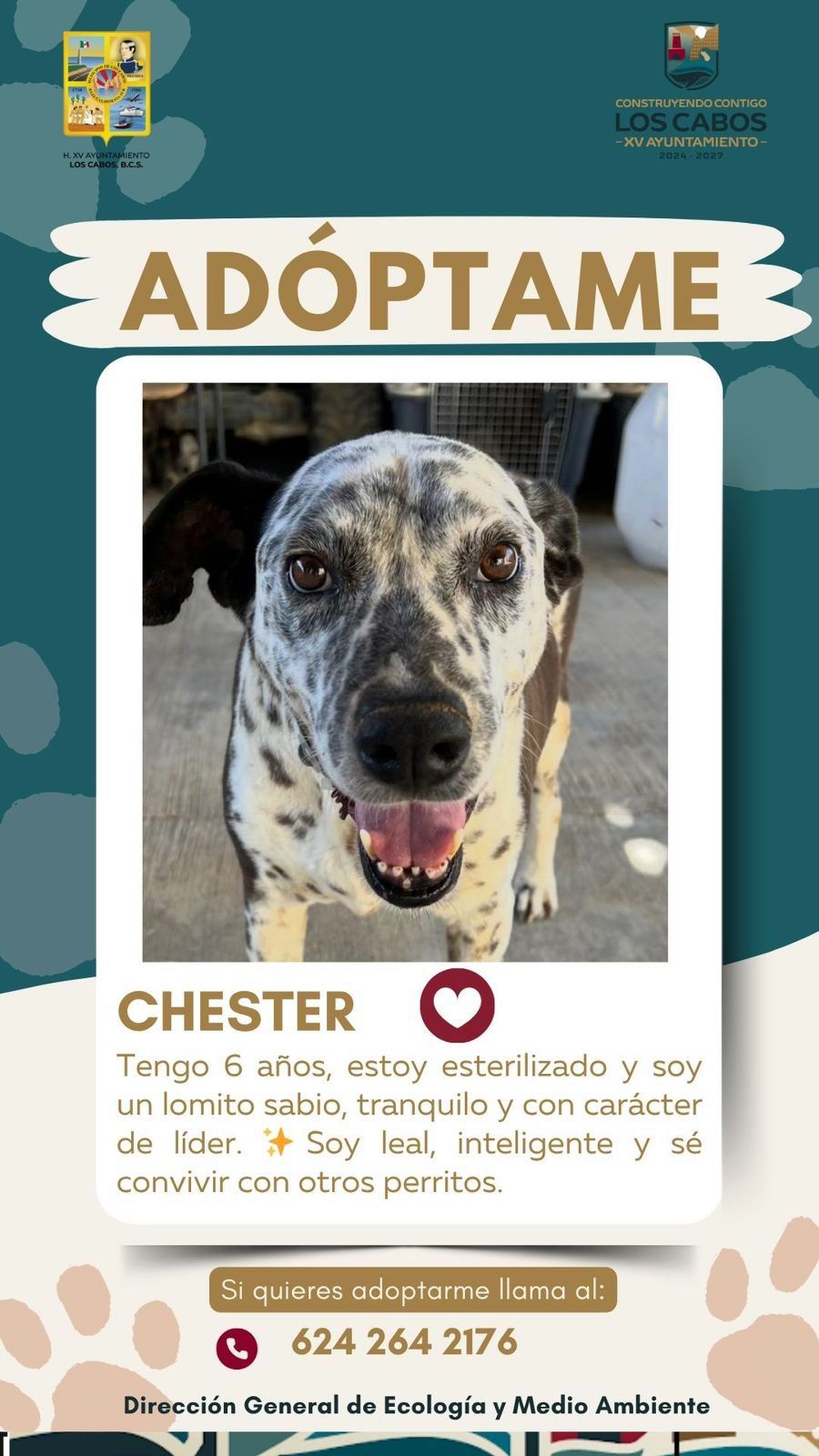 WhatsApp Image 2026-04-01 at 11.26.43 AM3