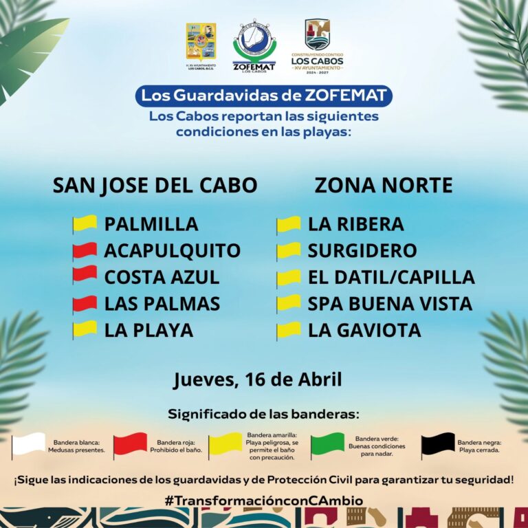 WhatsApp Image 2026-04-16 at 4.10.06 PM