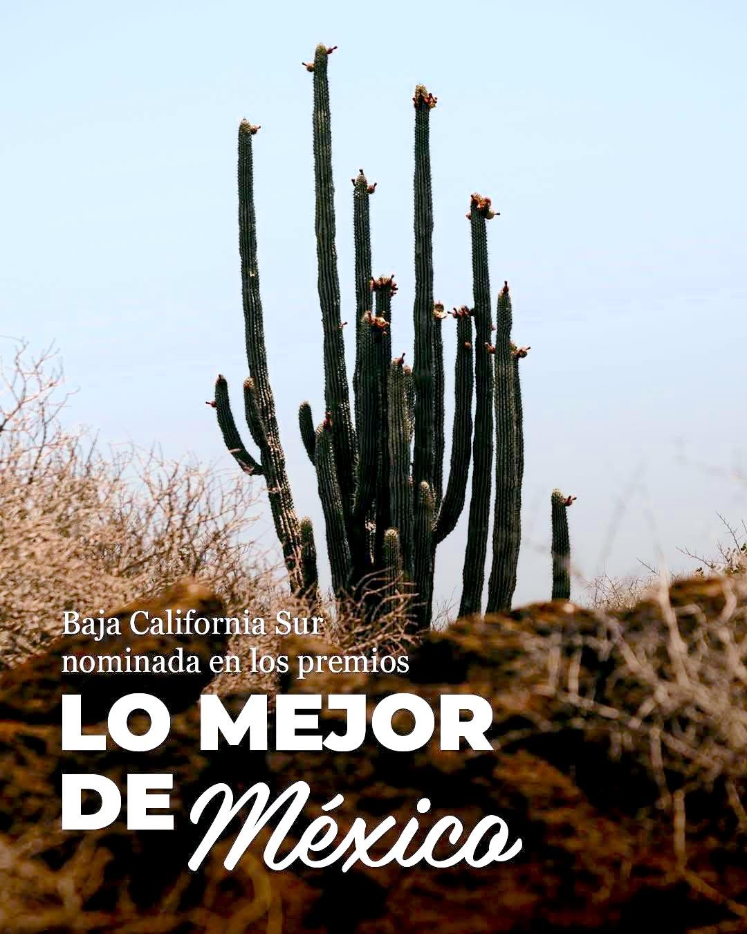 WhatsApp Image 2026-04-20 at 3.33.58 PM