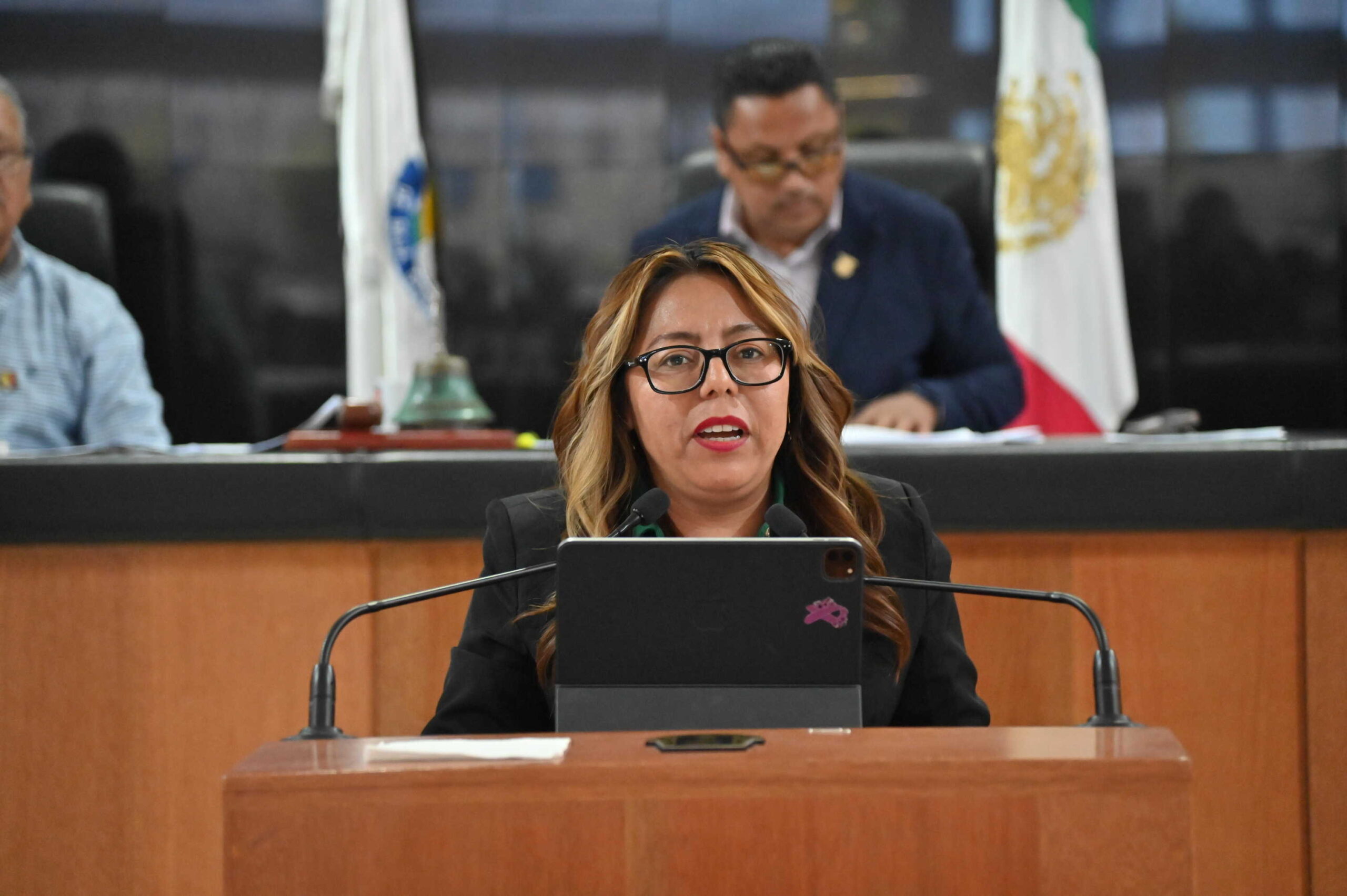 DIP TERESITA VALENTÍN VAZQUEZ 260512 3