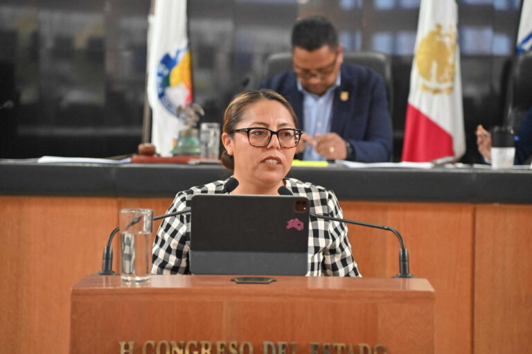 DIP TERESITA VALENTÍN VAZQUEZ 260519 4