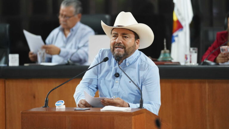 DIP VENUSTIANO PEREZ SANCHEZ 260526 2