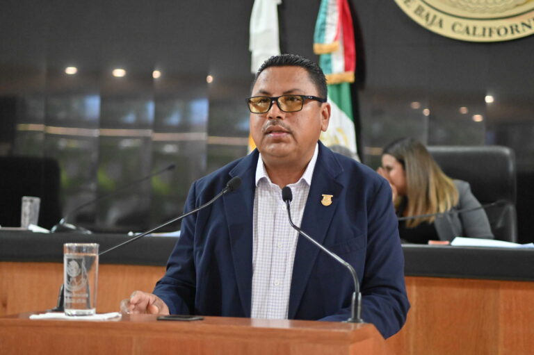 DIP MARTÍN ESCOGIDO FLORES 260617 2