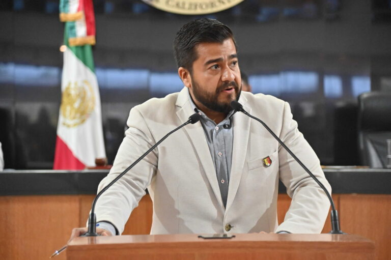 DIP OMAR TORRES OROZCO 260625 3