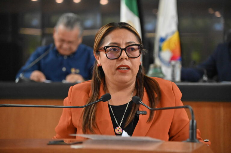 DIP TERESITA VALENTIN VAZQUEZ 260611 3