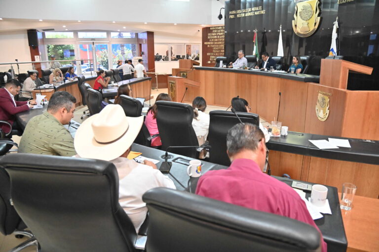 PLENO 260604 3