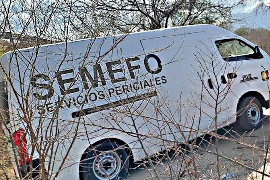 semefo