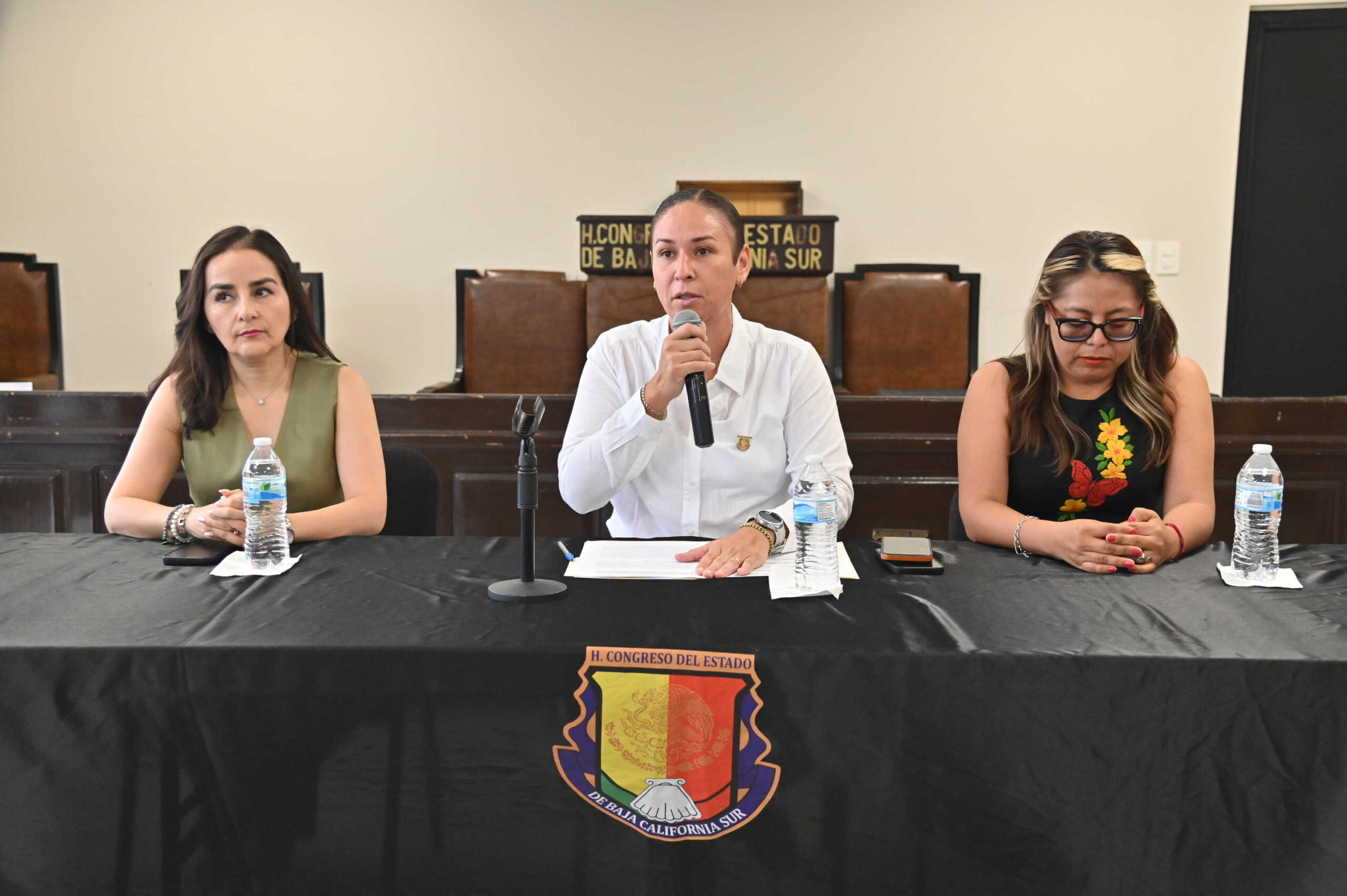 CONVOCATORIA DEFENSORIA ELECTORAL 260908 2