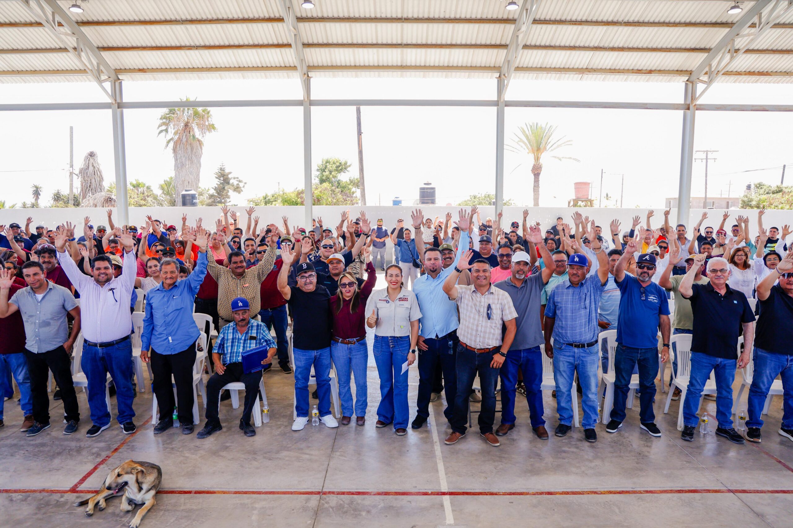 MQ - Pacífico Norte F5