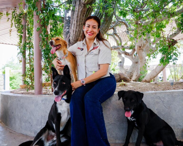MQ - Protección Animales F1